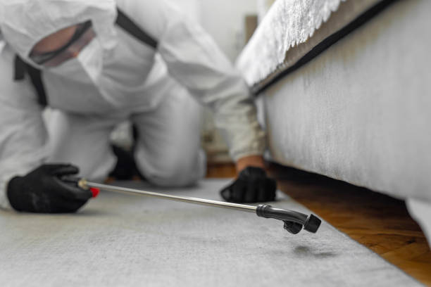 Professional Pest Control technician working in Blanco County County, TX